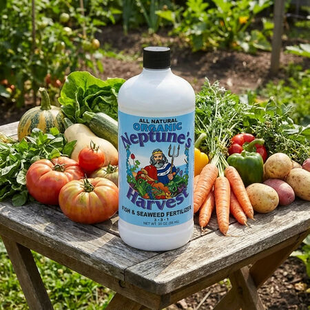 Fish and Seaweed Liquid Fertilizer,  Fertilizers - Quart (32 Oz.) image number null